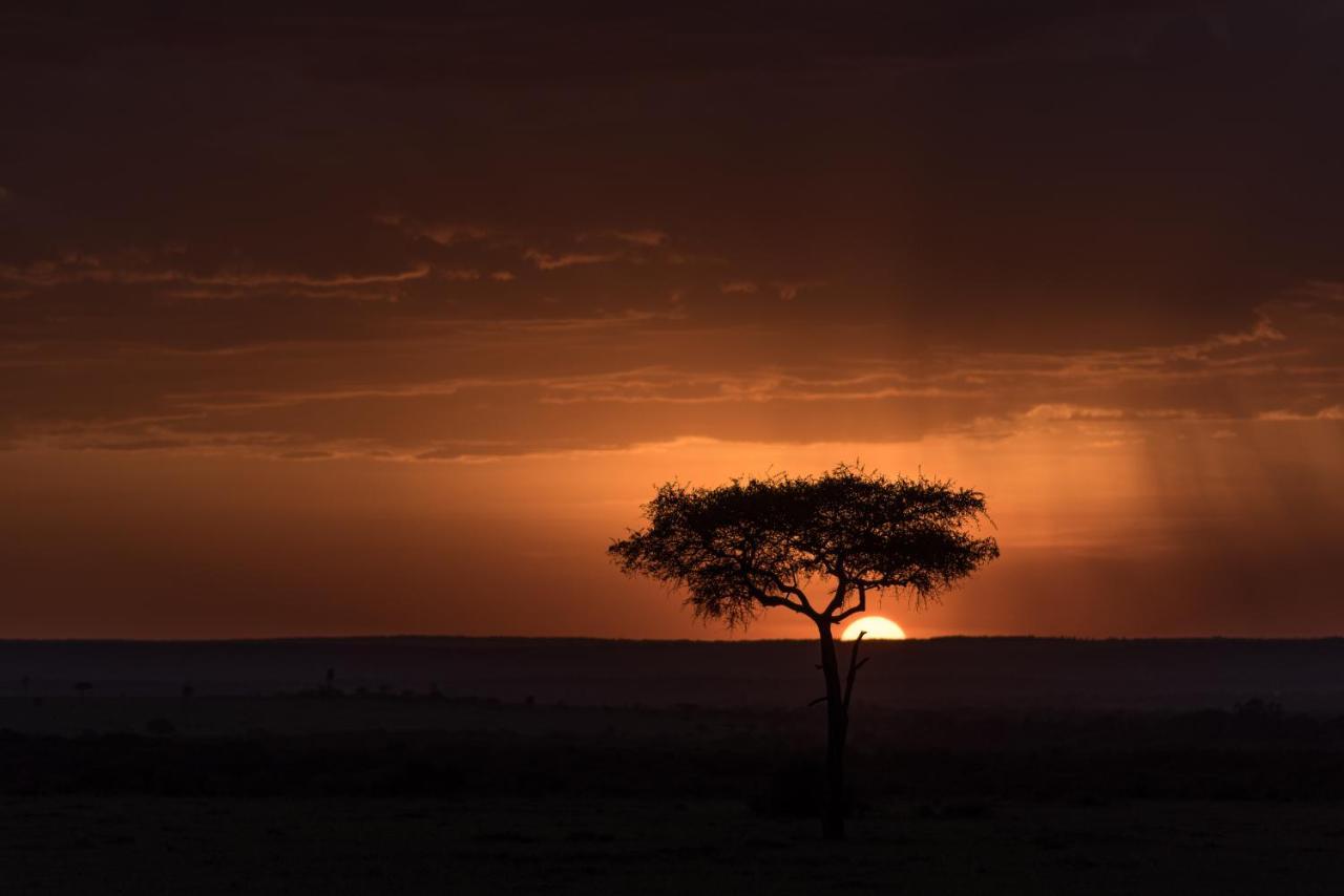 Africa Safari Maasai Boma Villa Serengeti Exterior foto